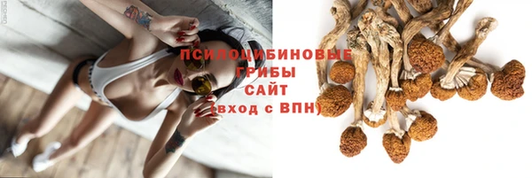 герыч Арсеньев
