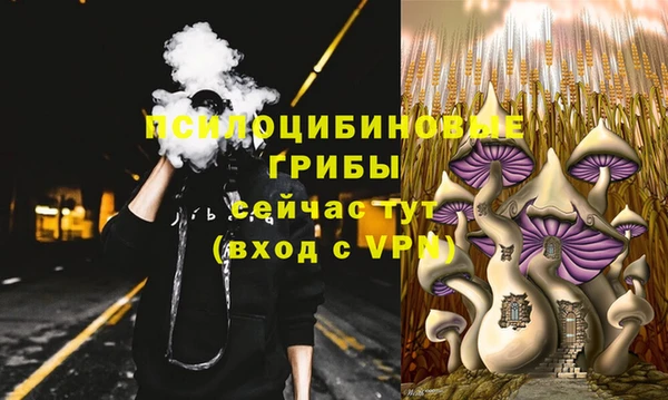 прущий лед Аркадак