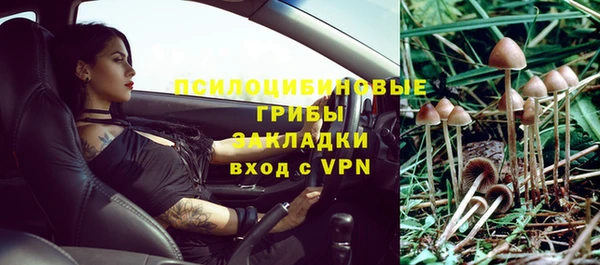spice Армянск