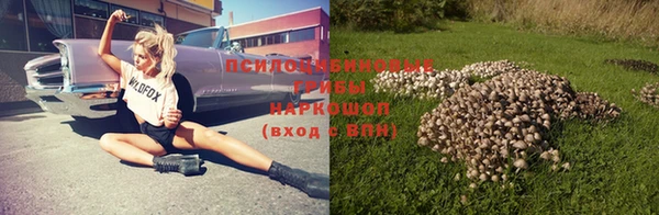 герыч Арсеньев