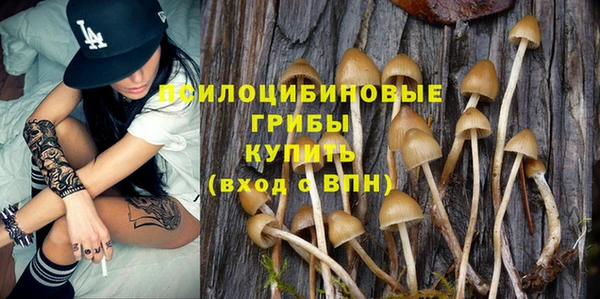 прущий лед Аркадак
