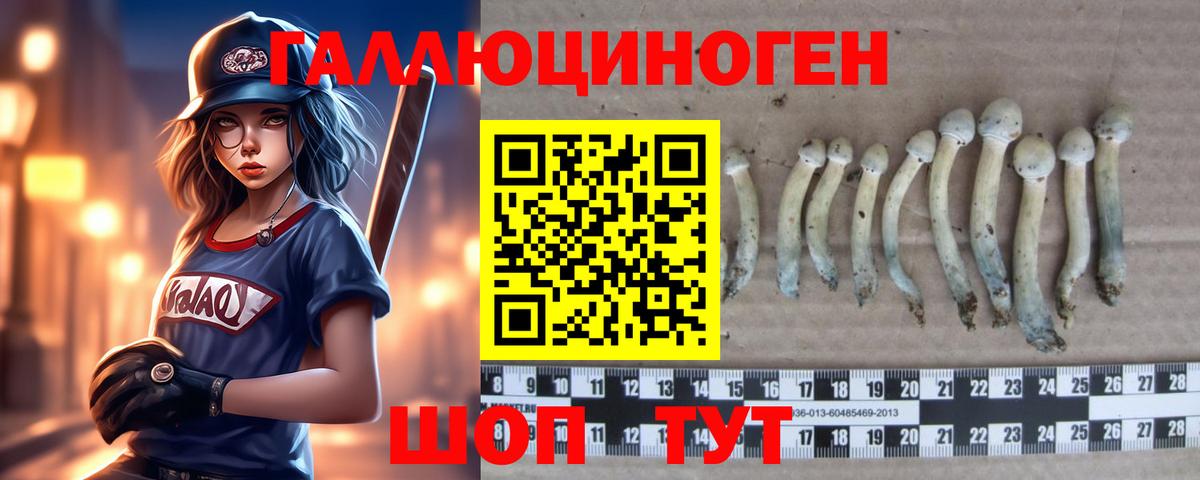 Псилоцибиновые грибы ЛСД Баксан