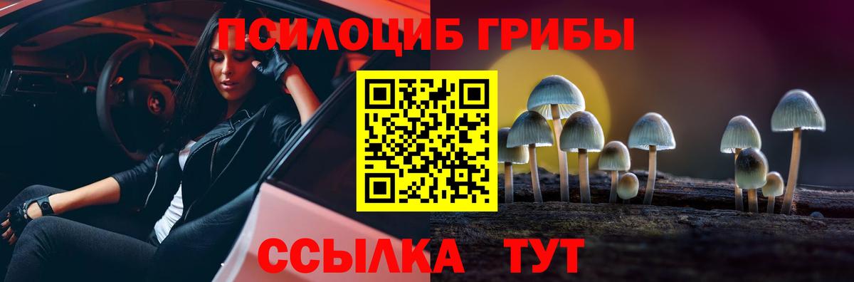 Галлюциногенные грибы прущие грибы  Псилоцибиновые грибы мицелий  Баксан  Вход с VPN 